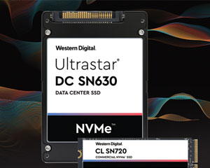 웨스턴디지털, 데이터센터용 NVMe SSD 포트폴리오 확대